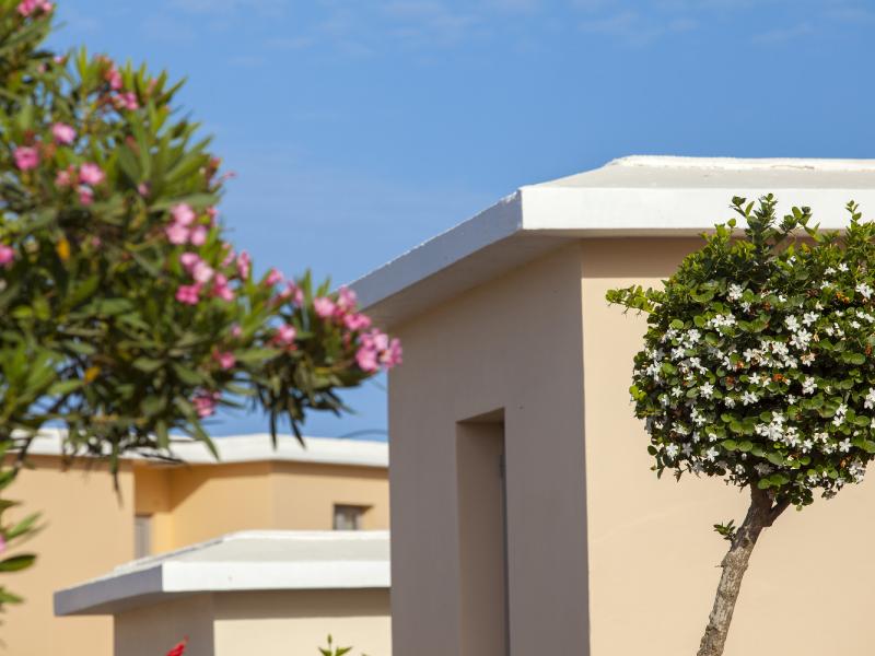 Louis St. Elias Resort