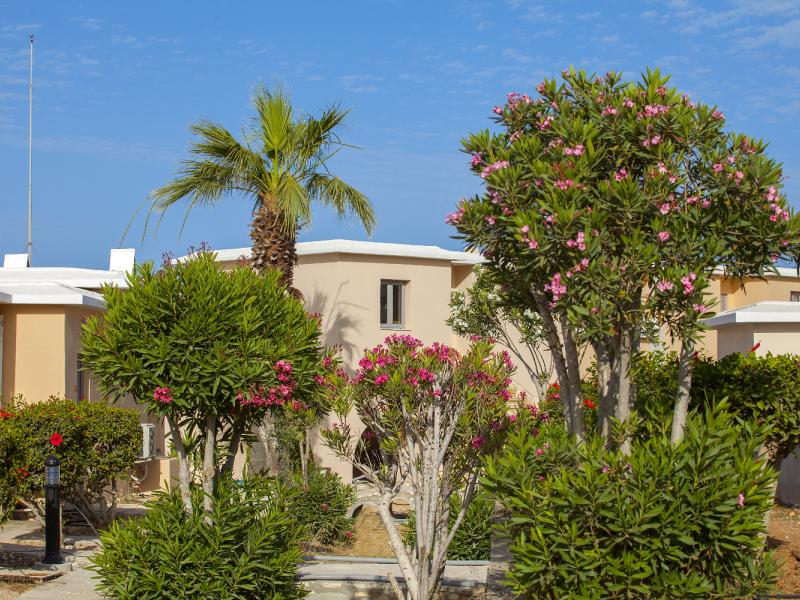 Louis St. Elias Resort