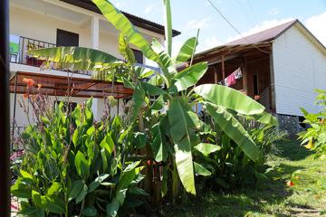 Отель Леон гостевой дом Абхазия, Новый Афон, фото 10