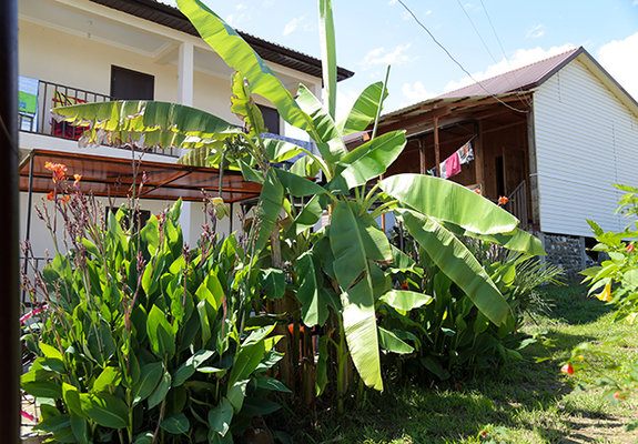 Леон гостевой дом