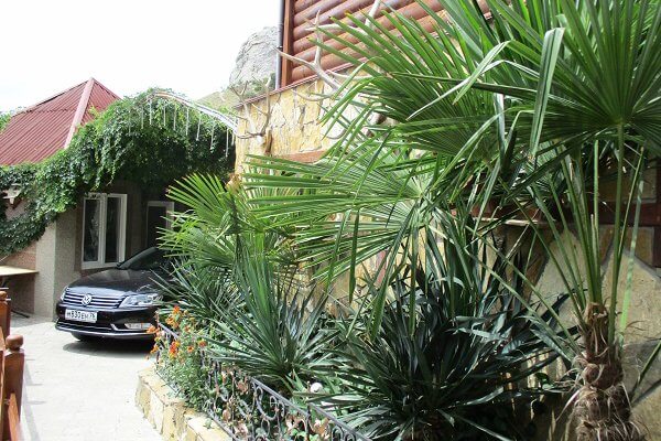 Уют на Консульской