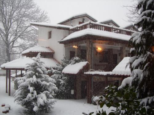 Teddy House