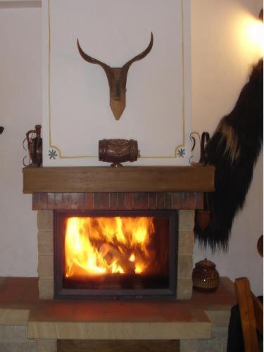 Teddy House
