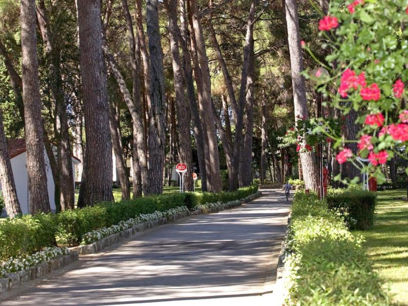 Villa Galijot Plava Laguna