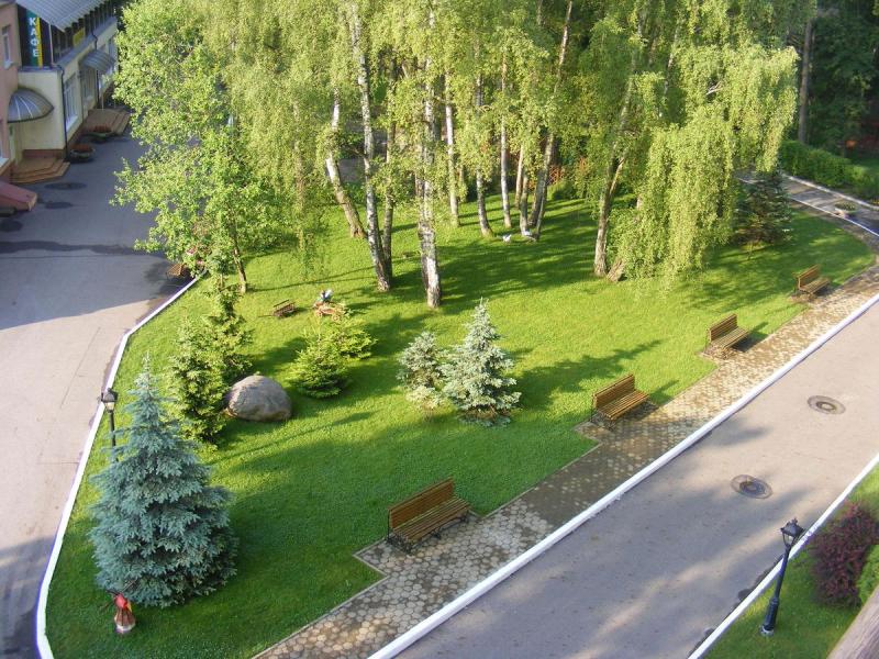 AZIMUT Здоровье Янтарь