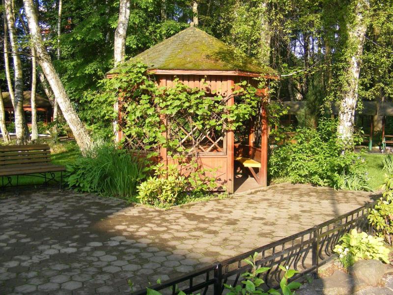 AZIMUT Здоровье Янтарь