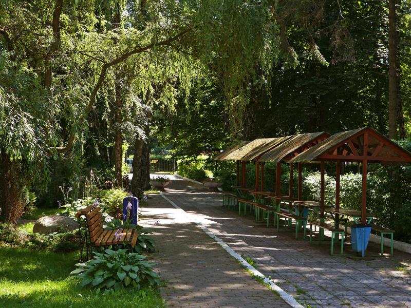 AZIMUT Здоровье Янтарь