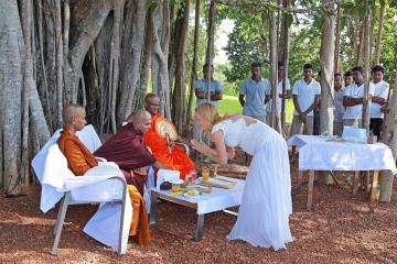 Отель Tri Lanka Шри-Ланка, Когалла, фото 17