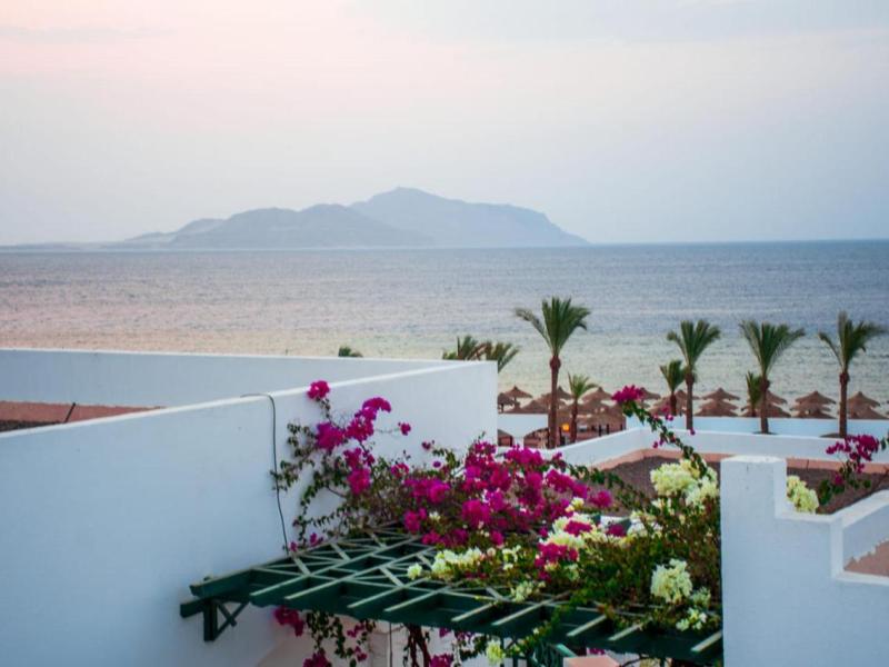 Coral Beach Resort Montazah