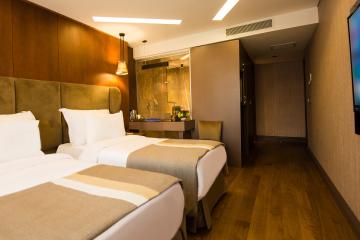 Отель Blueway Hotel Historical Турция, Шишли, фото 24