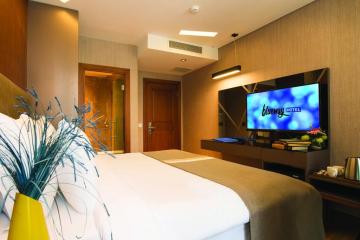 Отель Blueway Hotel Historical Турция, Шишли, фото 9