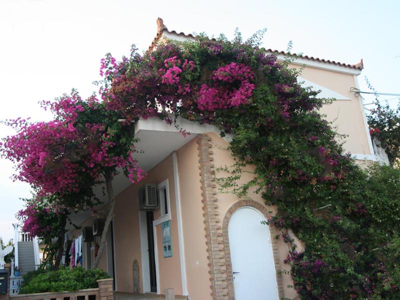 Asteri Studios & Appartments