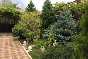 Отель Отель София Россия, Лазаревское, фото 12