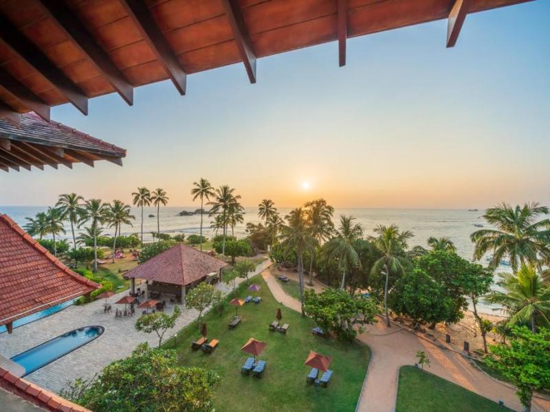 Hikka Tranz by Cinnamon