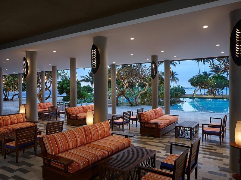 Hikka Tranz by Cinnamon