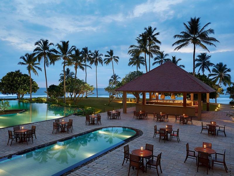 Hikka Tranz by Cinnamon