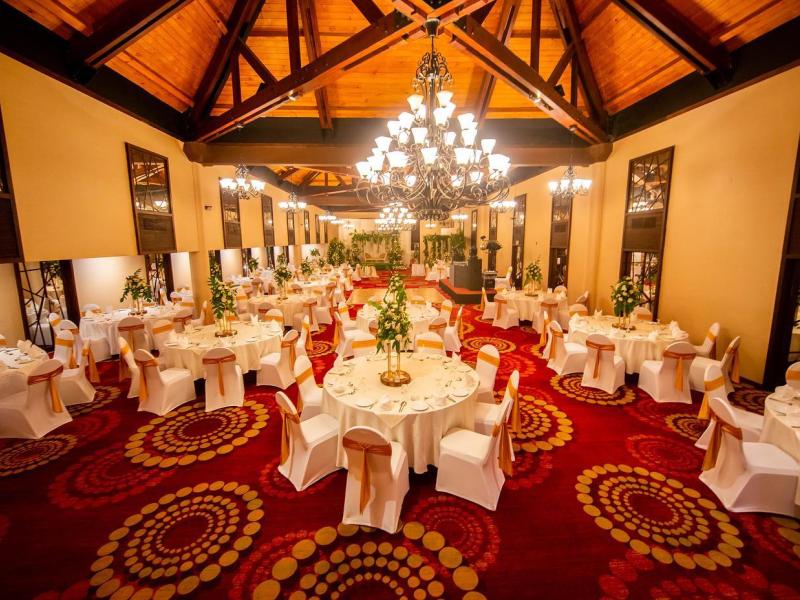 Hikka Tranz by Cinnamon