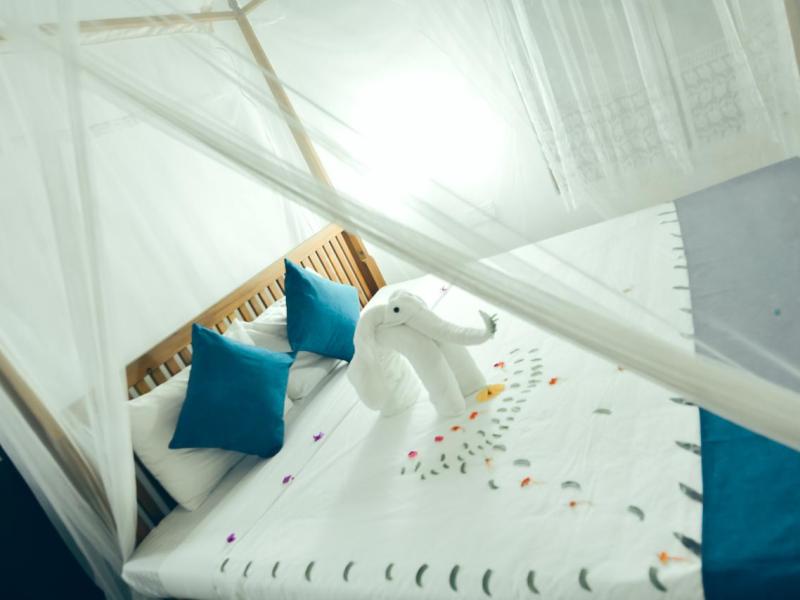 Serendpity Beach Hotel Unawatuna