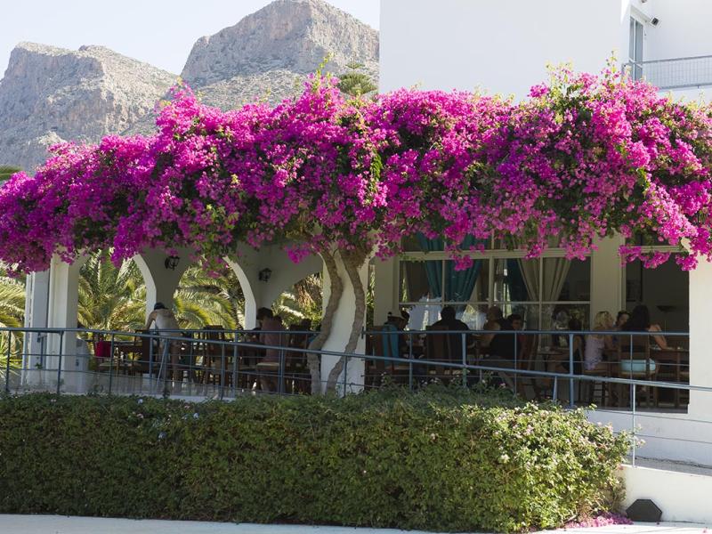 Rea Resort Hotel