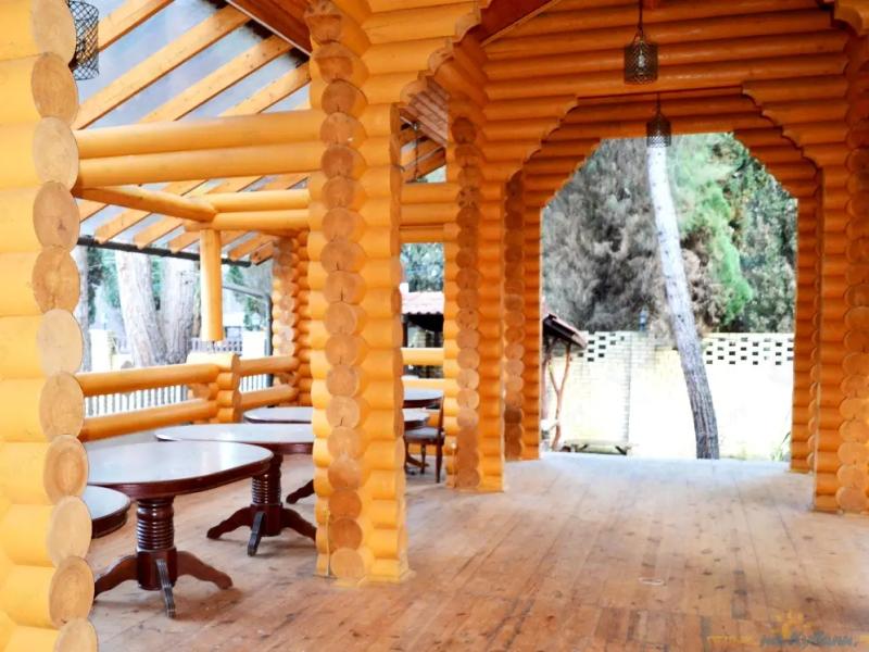 Сосновый Бор