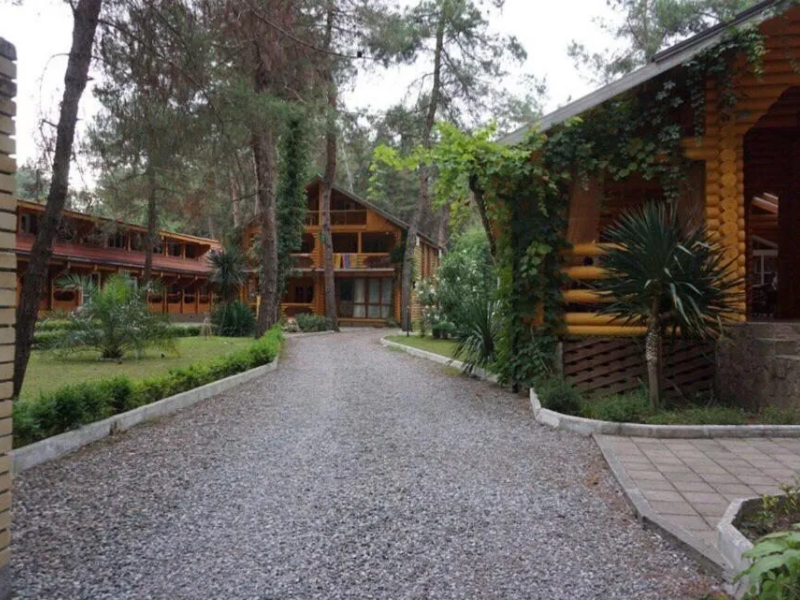 Сосновый Бор